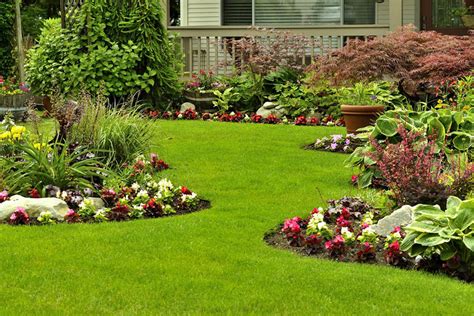 Emerald lawns. Things To Know About Emerald lawns. 